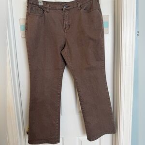 DG2 Bronze/Brown Gold Sparkle Stretch Jeans Sz 16WP